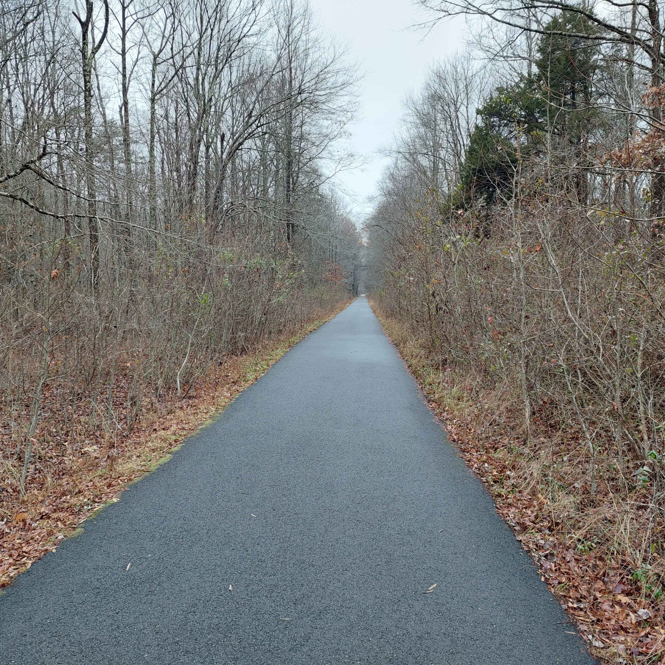 A black paved path in a wooded area. The path extends in a straight line. The trees are bare and the sky is gray.